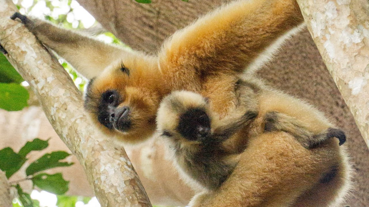 tour đầm sen 1/2 ngày - tour-hoc-sinh