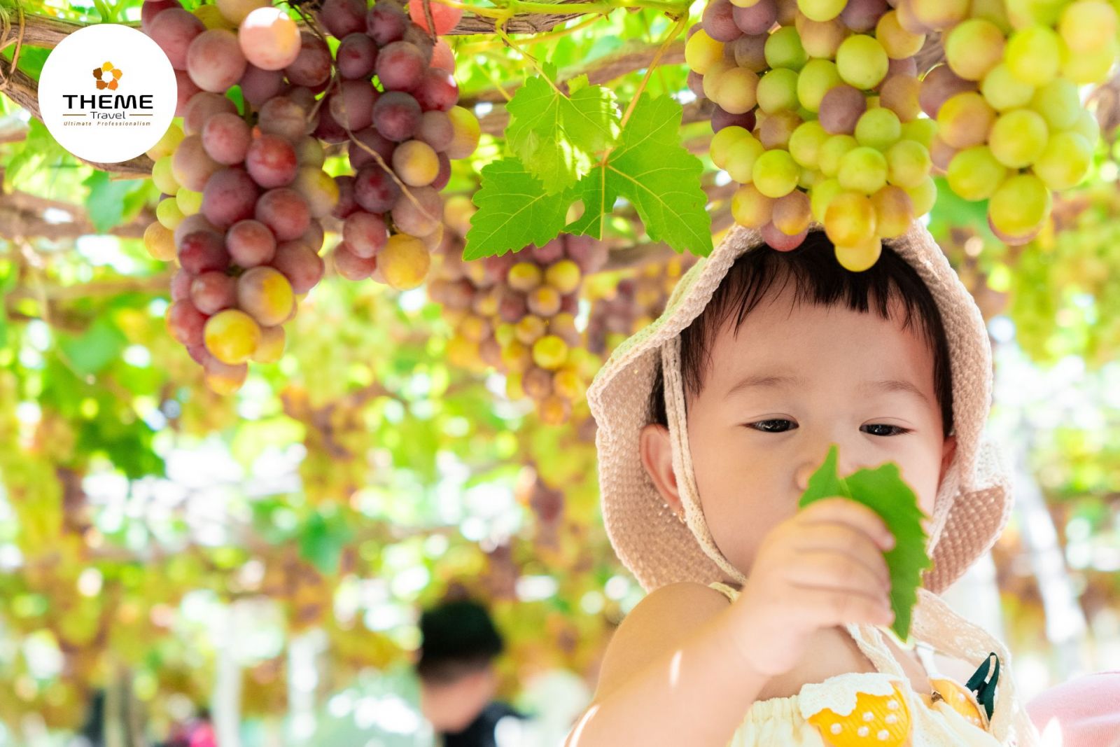 tour-Ninh-Thuận-2n1đ - tour hoc-sinh